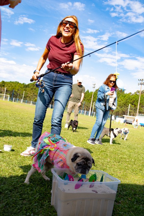 Foto do Pugnic 2026